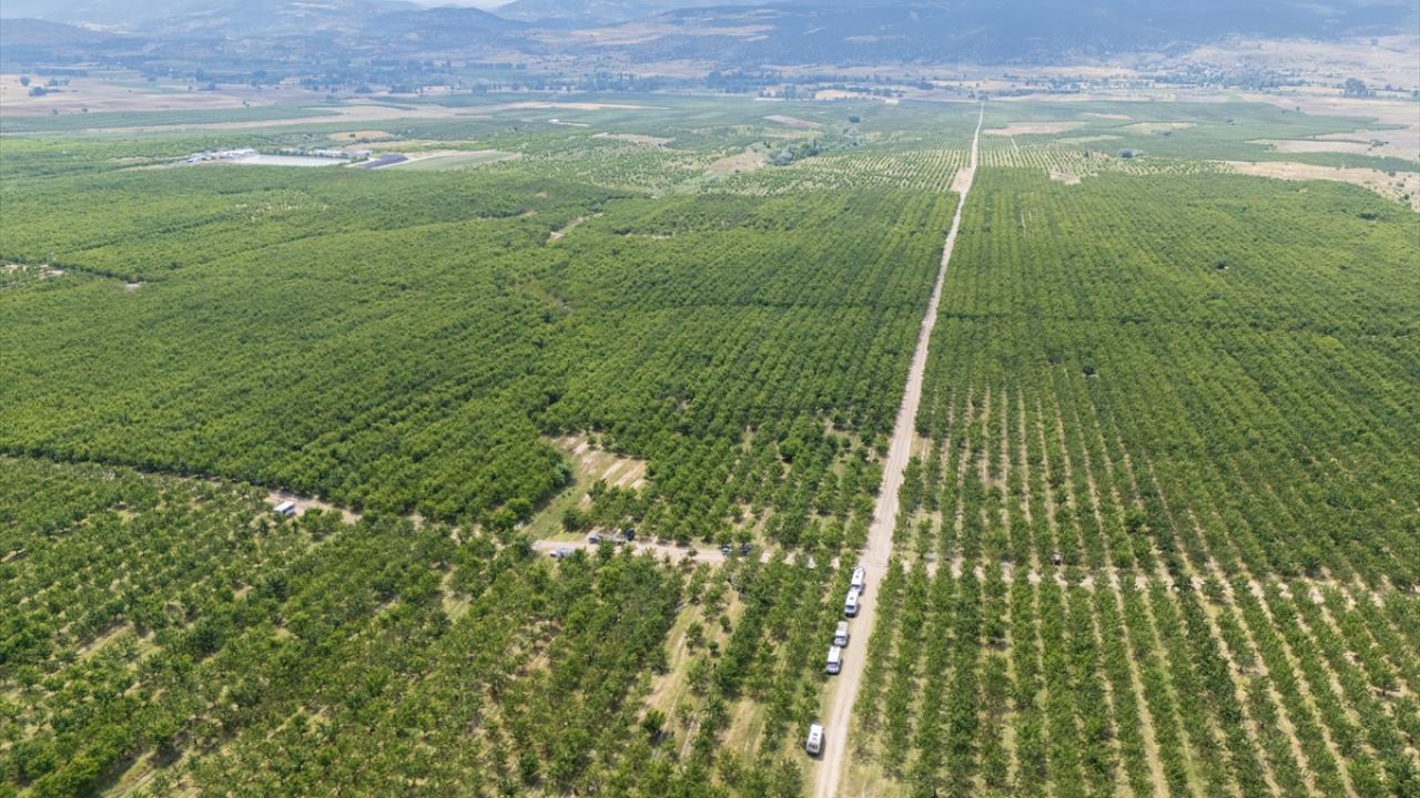 “Sınırları kaldıralım” dediler, servete kondular: Bir köyün kaderini değiştiren karar! Img