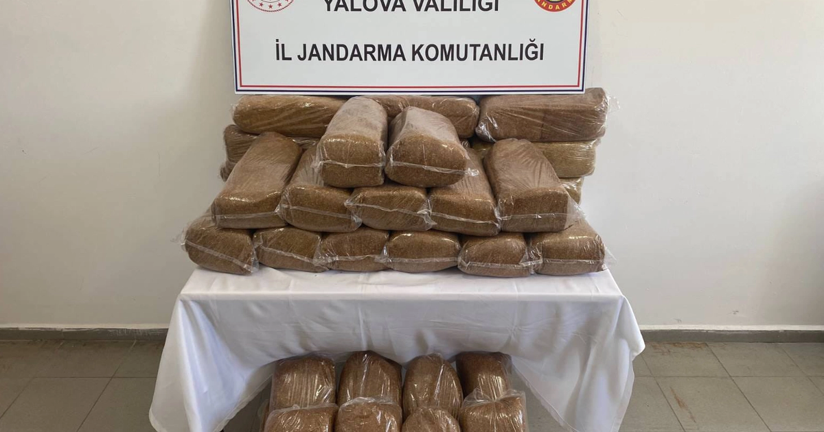 Yalova’da 160 kilogram bandrolsüz tütün ele geçirildi Img